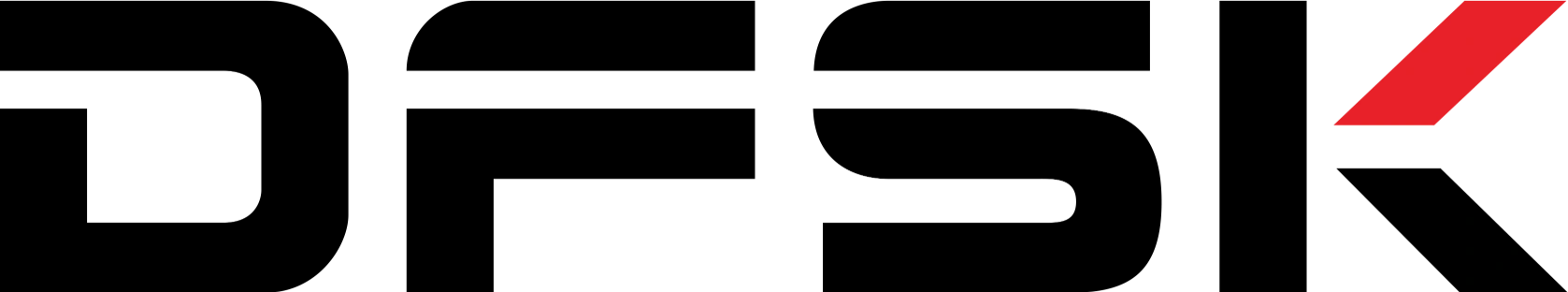 DFSK Logo